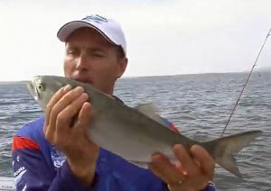 VIDEO: Fishing The Edge – Tailor on surface lures